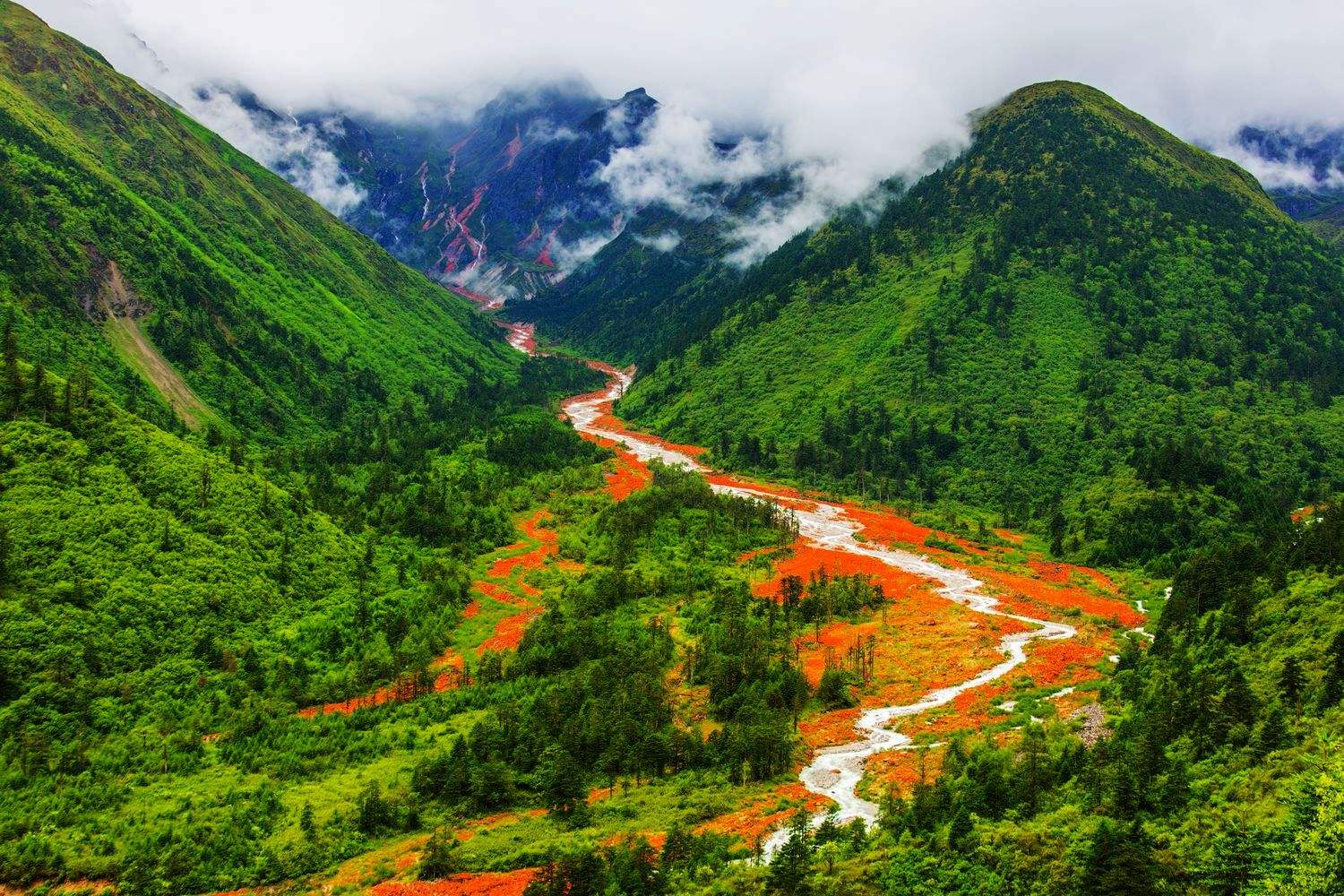 四川印象,绿意盎然,茶香四溢的巴蜀风情