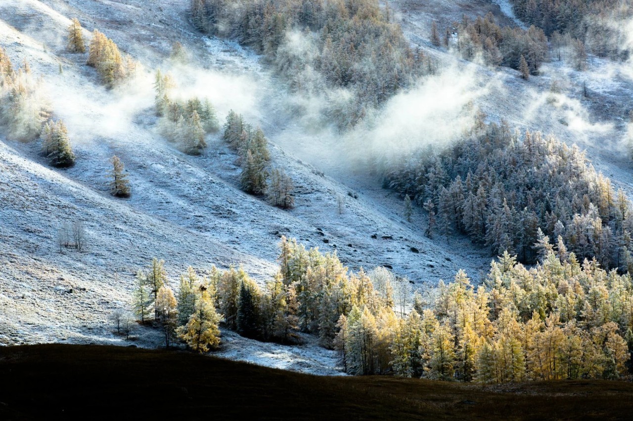 新疆,嘉宾云集,观众热情如火